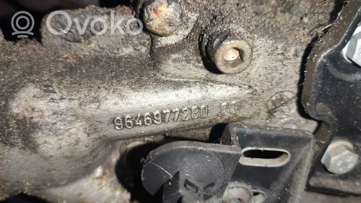 Peugeot 206 Moottorin vesijäähdytyksen putki/letku 9646977280