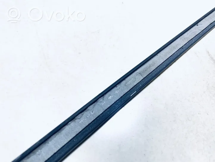 Audi Q7 4L Front door glass trim molding 