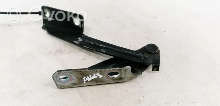 Ford Focus Cerniere del vano motore/cofano XS4116800AD