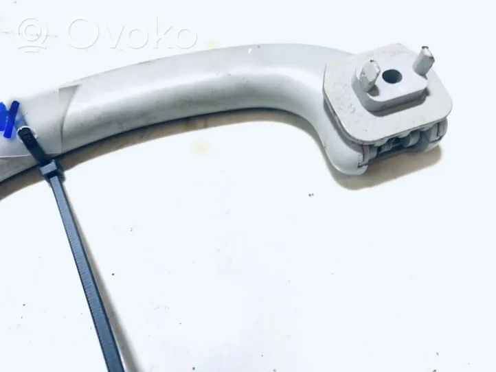 Ford Focus Front interior roof grab handle 