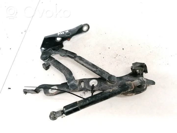 Volvo S60 Cerniera portellone posteriore/bagagliaio 9159704