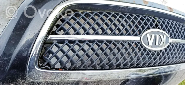 KIA Carnival Front grill 