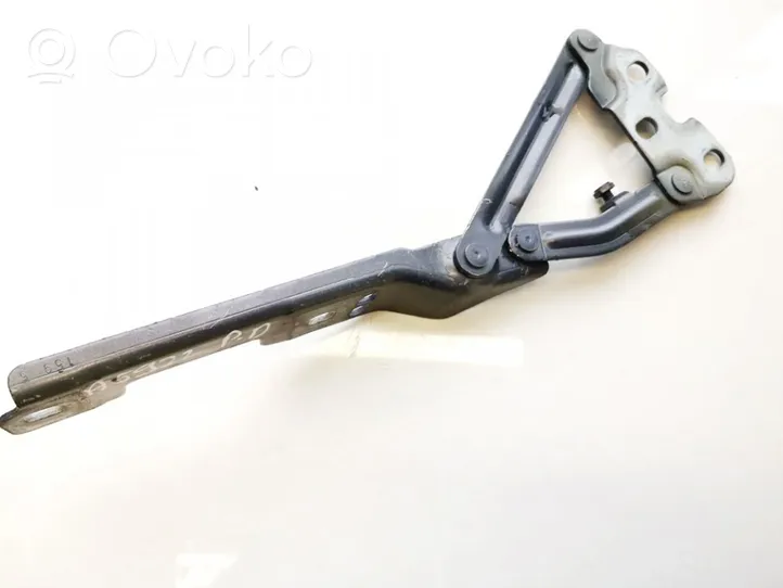 Opel Astra J Engine bonnet/hood hinges 20879203