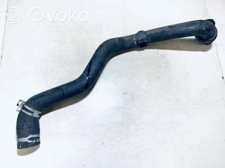 Ford Galaxy Engine coolant pipe/hose s4000256