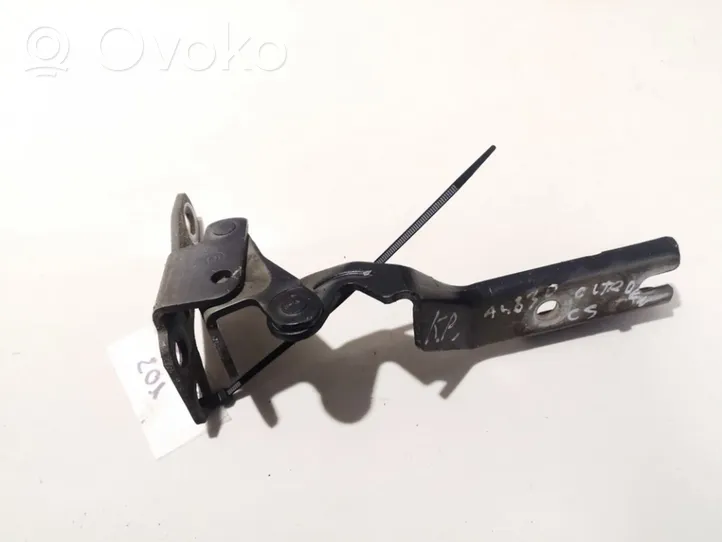 Citroen C5 Cerniere del vano motore/cofano 9633672380