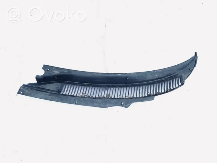 Chrysler 300M Wiper trim 04805014