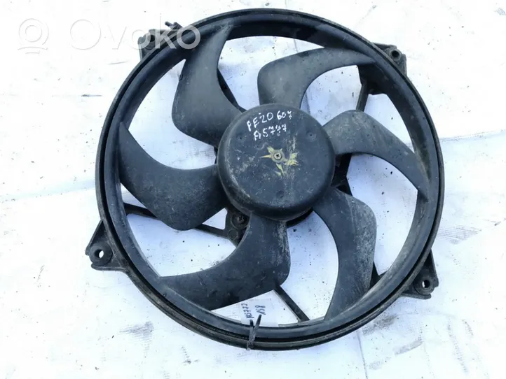 Peugeot 607 Kale ventilateur de radiateur refroidissement moteur 