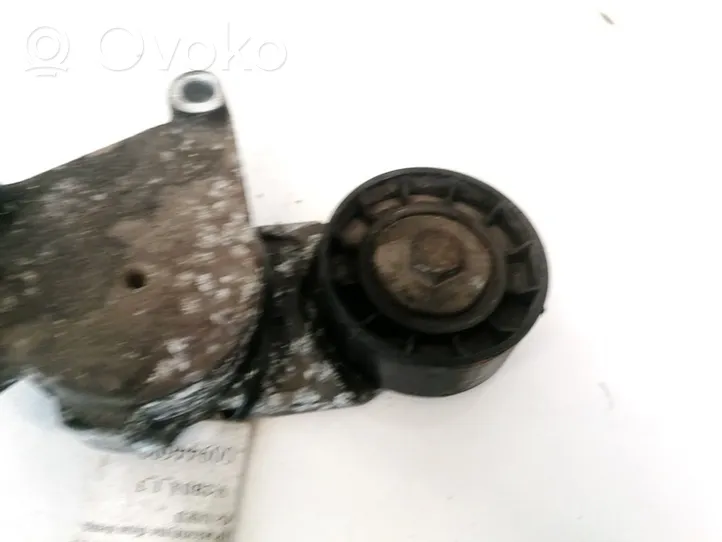 Citroen C3 Napinacz paska alternatora 