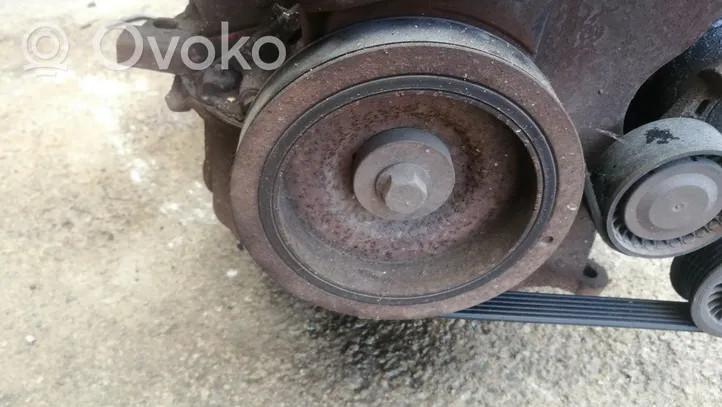 Dacia Sandero Crankshaft pulley 