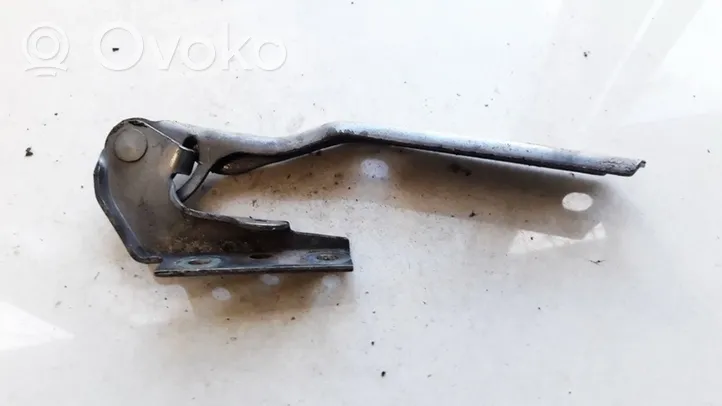 Volkswagen PASSAT B5.5 Engine bonnet/hood hinges 