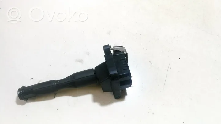 BMW 5 E39 High voltage ignition coil 0221504004