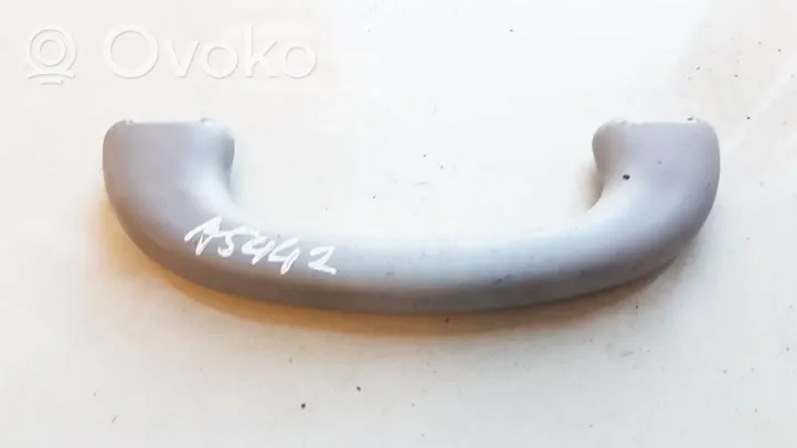 Ford Focus Front interior roof grab handle 