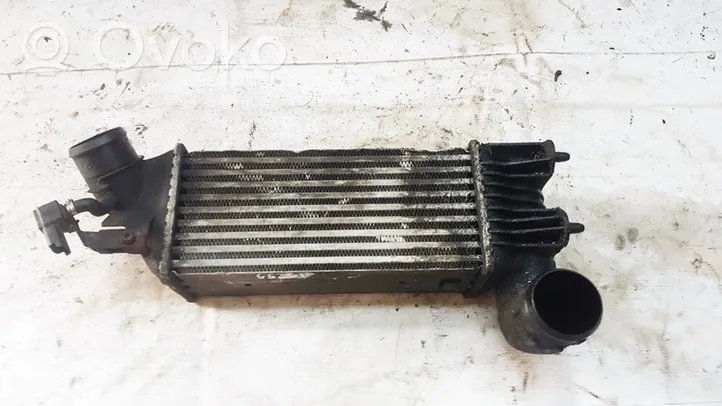 Citroen C5 Starpdzesētāja radiators 