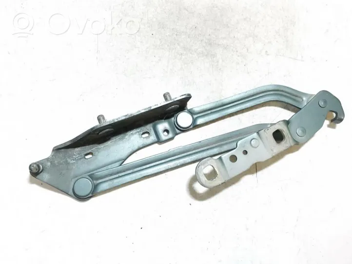 Renault Megane II Tailgate/trunk/boot hinge 