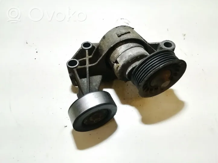 Ford Fiesta Generator/alternator belt tensioner 