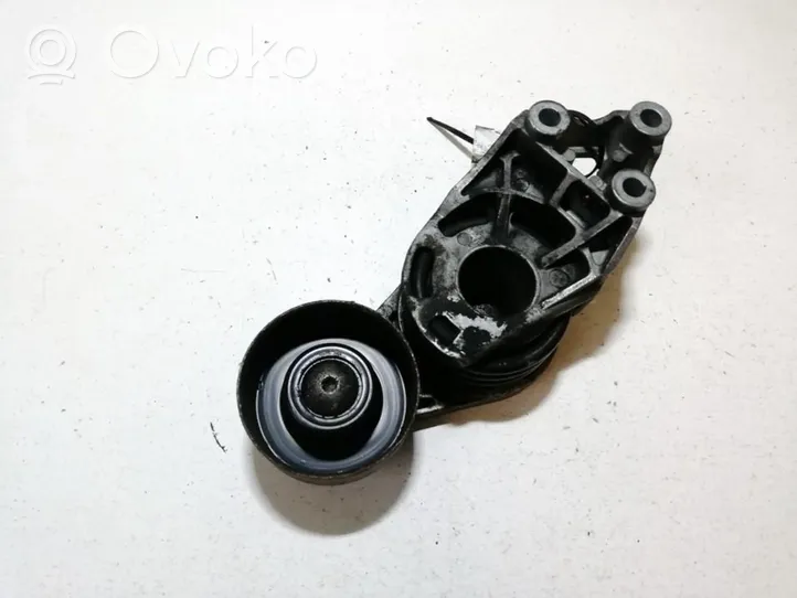 Skoda Fabia Mk1 (6Y) Napinacz paska alternatora 045903315A