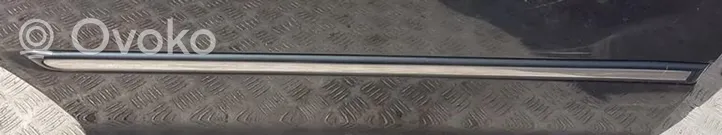 Hyundai XG Listón embellecedor de la puerta delantera (moldura) 