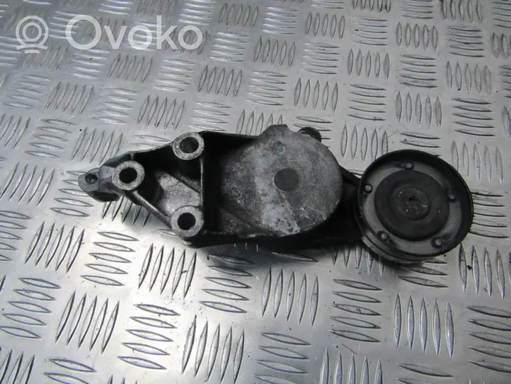 Volkswagen Golf IV Tendicinghia generatore/alternatore 04343010002