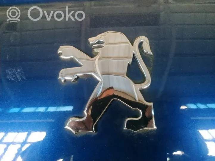 Peugeot 407 Gamintojo ženkliukas 