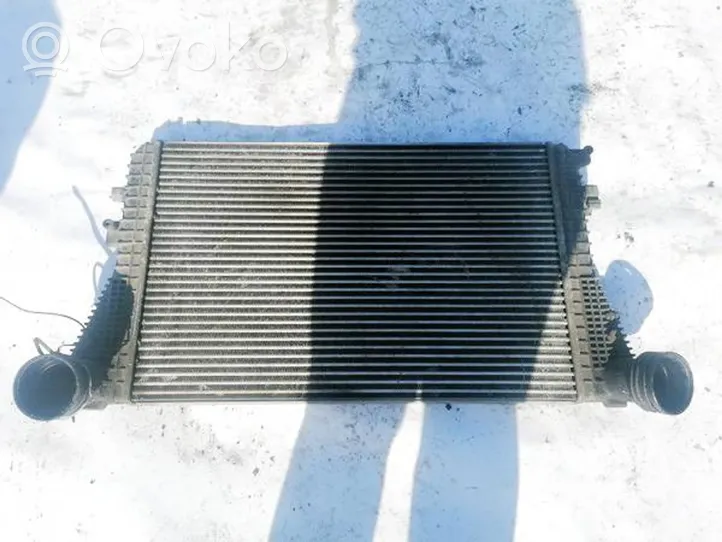 Volkswagen Golf V Radiatore intercooler 