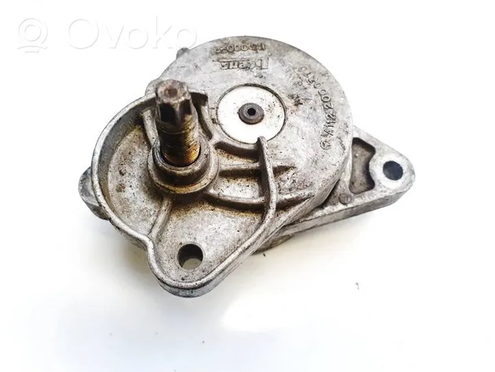 Mercedes-Benz ML W163 Tensor de correa del alternador A1122000370