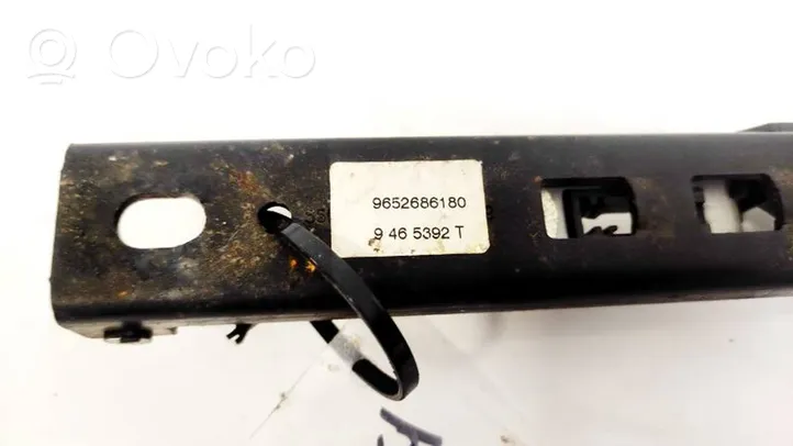 Citroen C3 Picasso Kita išorės detalė 9652686180