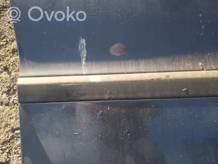 Volvo S60 Rivestimento della portiera anteriore (modanatura) 