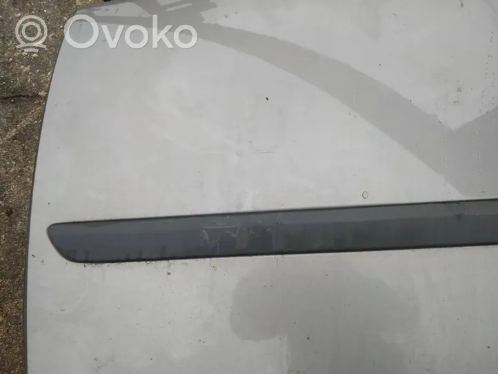 Volvo S40 Rivestimento della portiera anteriore (modanatura) 