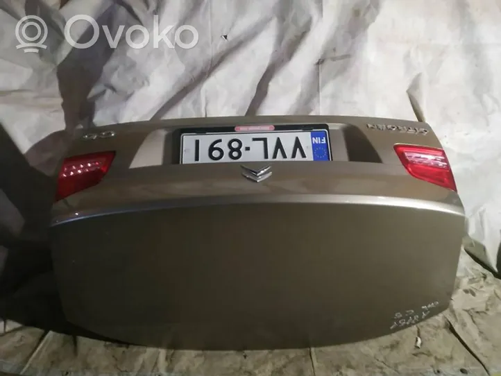 Citroen C5 Galinis dangtis (bagažinės) RUDAS