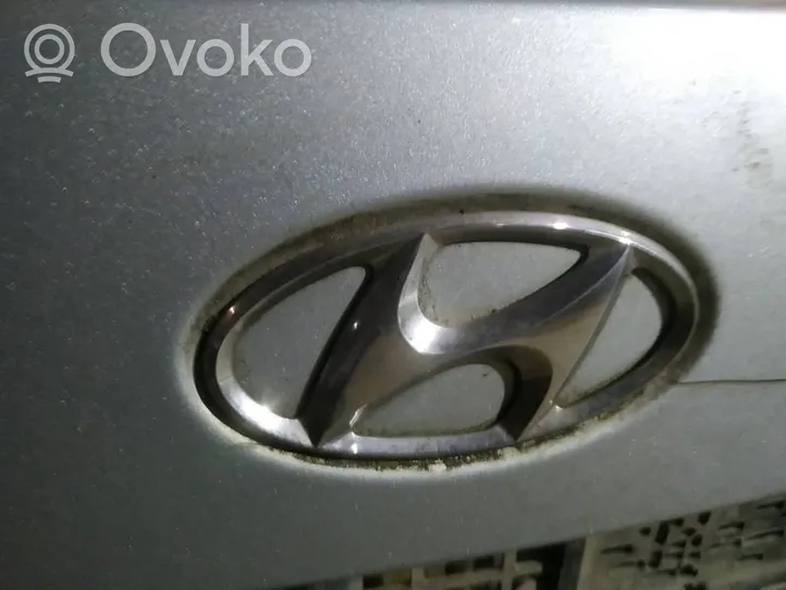 Hyundai Sonata Gamintojo ženkliukas 