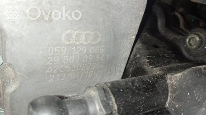 Audi A6 S6 C6 4F Sklendės valdymo varikliukas 059129086