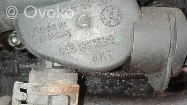 Volkswagen Golf V Przewód / Wąż chłodnicy 038121132D