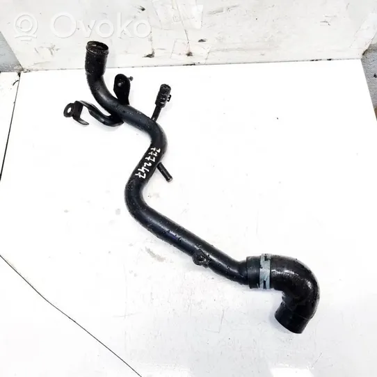 Volkswagen PASSAT B5.5 Engine coolant pipe/hose 