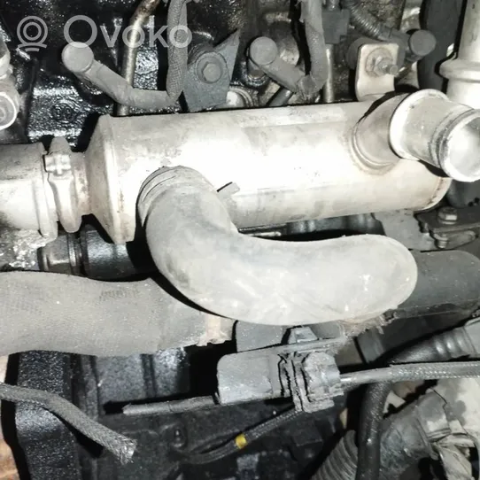 Citroen C4 I Chłodnica spalin EGR j3h9p445bb