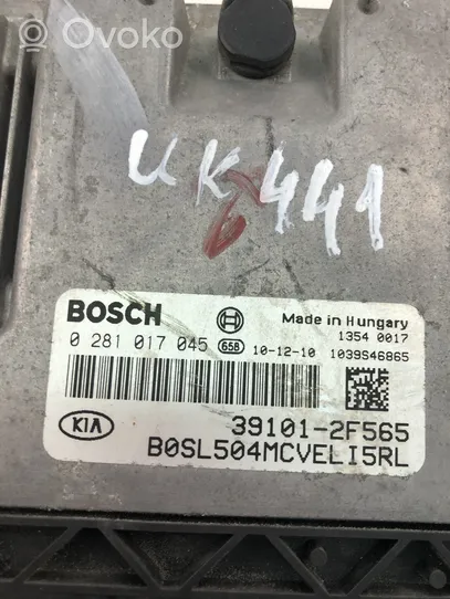 KIA Sportage Motorsteuergerät ECU 391012F565