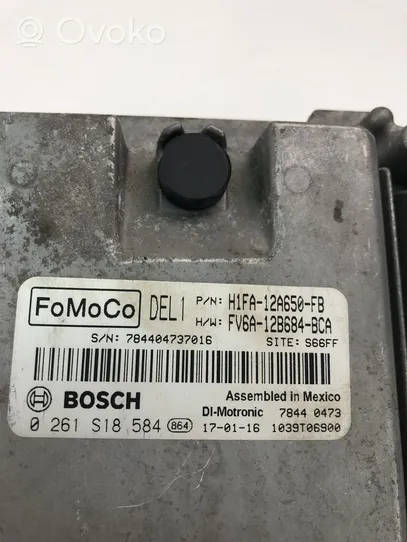 Ford Focus Unité de commande, module ECU de moteur H1FA12A650FB