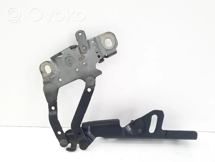 BMW 1 F20 F21 Cerniere del vano motore/cofano 139896