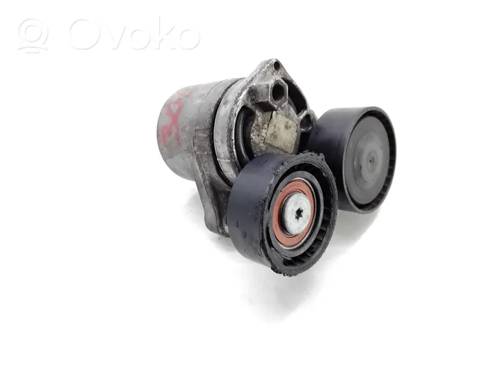 BMW 1 F20 F21 Tendicinghia generatore/alternatore 