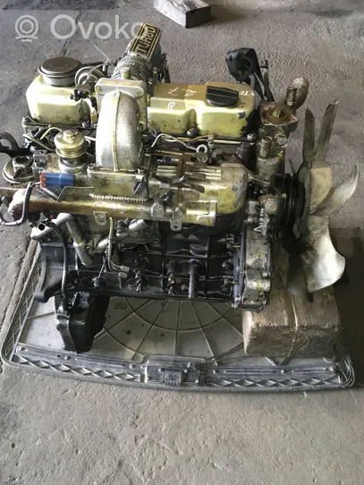 Nissan Terrano Motore PE11012