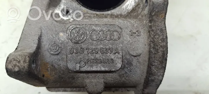 Volkswagen PASSAT B6 Przewód / Rura chłodnicy spalin EGR 03G129637A