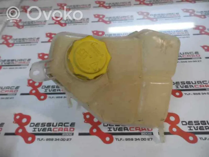Ford Fusion Coolant expansion tank/reservoir 
