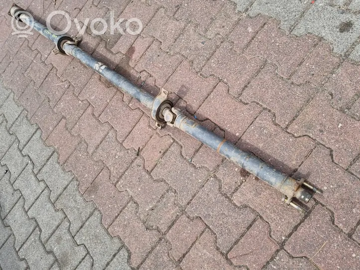 Renault Scenic I Drive shaft (set) 