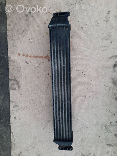 Volkswagen Sharan Radiatore intercooler 7M3145805