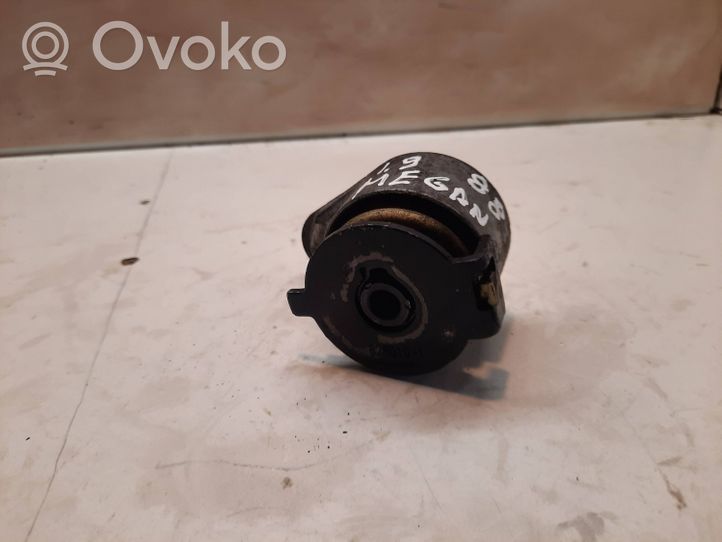 Renault Megane II Napinacz paska wielorowkowego / Alternatora 072120628000