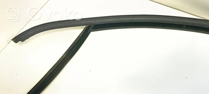 Volkswagen PASSAT B7 Rubber seal front door window/glass 3c4837431c