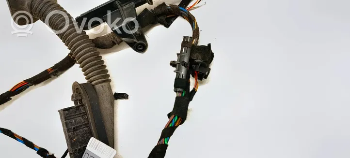 BMW X5 E70 Cableado de puerta trasera 9116978