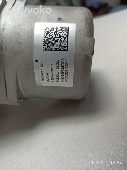 Opel Mokka Electric power steering pump 