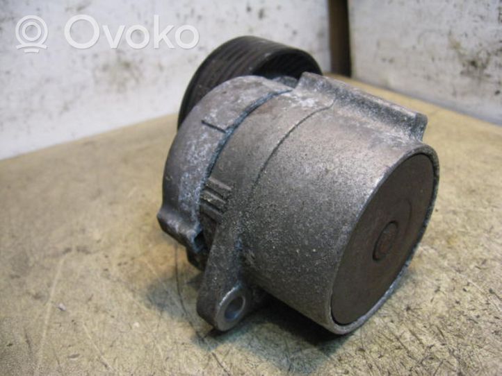 Volvo S80 Napinacz paska wielorowkowego / Alternatora 30637141