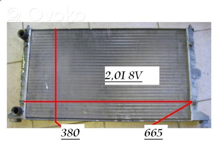 Seat Alhambra (Mk1) Coolant radiator 1H0121253