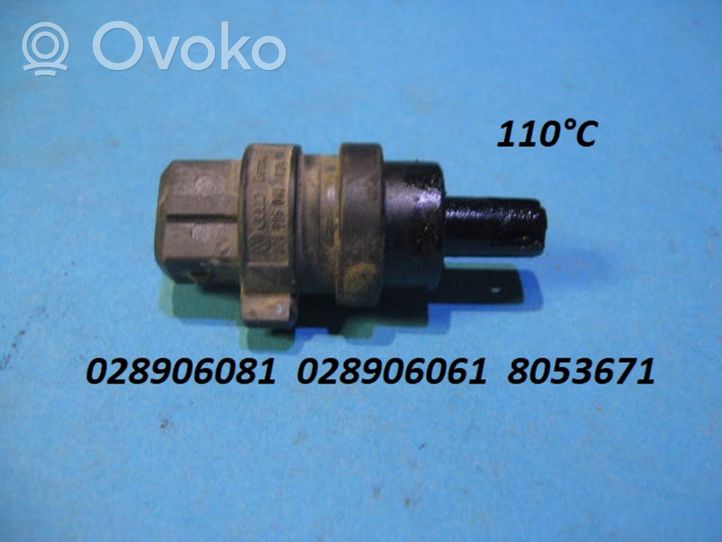 Volkswagen Vento Intake air temperature sensor 028906081